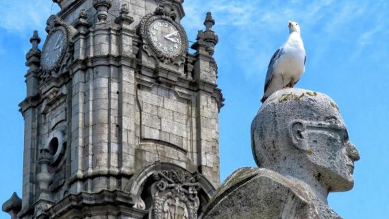 葡萄牙+波爾圖大教堂+萊羅書店一日遊/行程可調-可定制