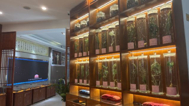 Медицинский массаж и иглоукалывание в Санья с трансфером