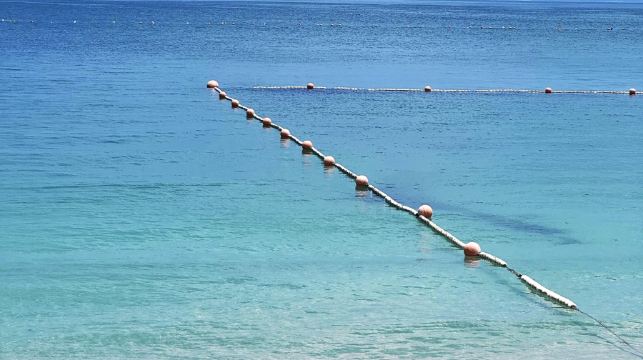 深圳桔釣沙+鹿嘴山莊+天文台+楊梅坑包車一日遊-可中英文服務
