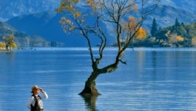 「紐西蘭全境·商旅無憂」展會翻譯+商務陪同｜皇后鎮/奧克蘭/基督城｜資深翻譯，助跨境生意一臂之力