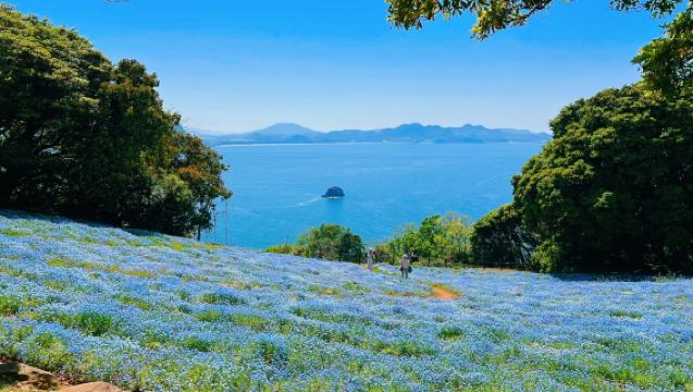 福岡出發｜海中道花海秘境×動物之森×能古島夕陽｜九州舒適度假