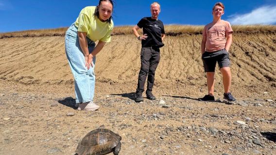 Excursión en 4x4 por las Montañas Arcoíris ocultas y las Cuevas de Gareji