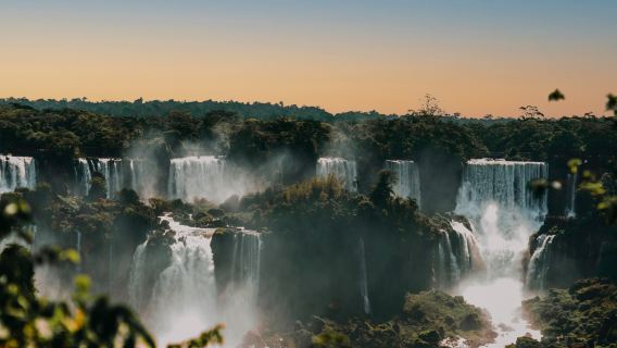 Group tour to Iguazu Falls and bird park in Brazil (hotel transfer + English-speaking guide)