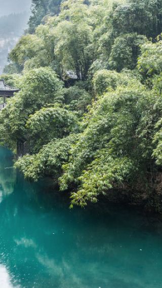 Yichang 1-day tour: Two dams and one gorge, private customize, Chinese and English guides, one group per booking