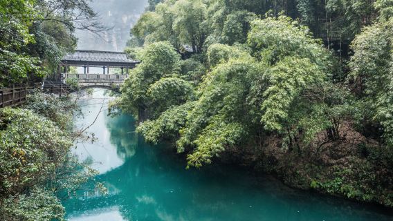 Yichang 1-day tour: Two dams and one gorge, private customize, Chinese and English guides, one group per booking