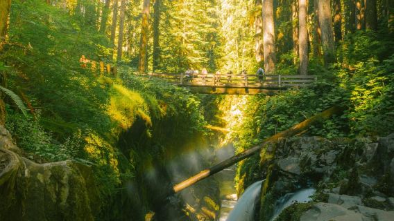 Amerika Syarikat Seattle | Taman Negara Olympic - Hurricane Ridge - Lawatan Sehari Sewaan Peribadi - Perjalanan Eksklusif Pilihan