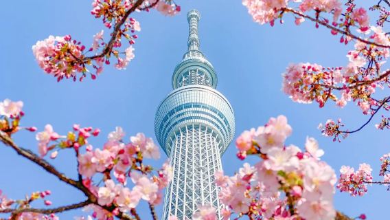 Passeio de um dia em Tóquio/Passeio de um dia pela cidade com serviço personalizado e acompanhante privativo em chinês, japonês e inglês para atrações turísticas