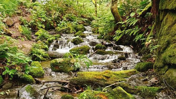 日本青森-奧入瀨溪流-八甲田山-蕪島神社-中文私享行