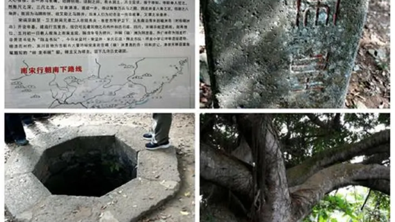 Lawatan sehari ke Pulau Naozhou, Zhanjiang (Kumpulan kecil eksklusif & jemputan di tempat)
