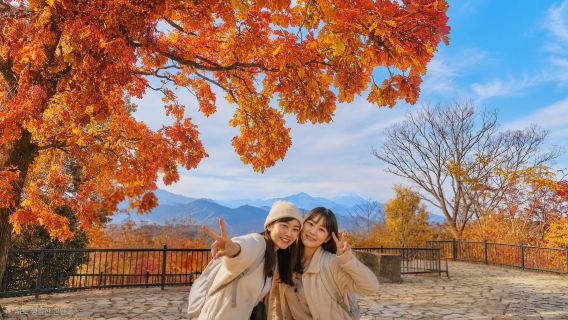 [Tokyo Sonbahar Özel] Takao Dağı ve Showa Kinen Parkı Sonbahar Renkleri Günlük Tur