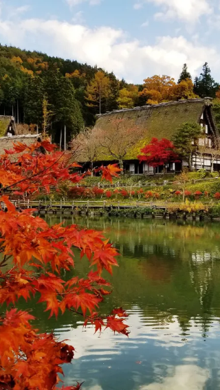 Round-trip from Nagoya: Hida Takayama + Takayama Jinya 1-day tour, Chinese pick-up / customizable itinerary