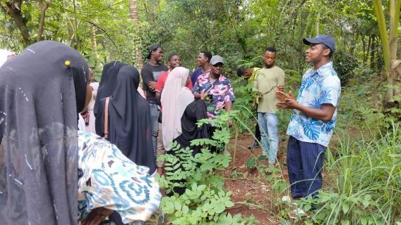 Zanzibar: Organic Spice Farm Tour With Fruit Tasting