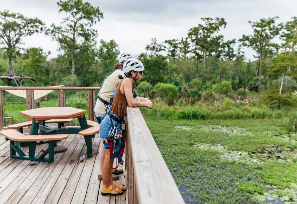 New Orleans: Swamp Zipline Tour | Trip.com
