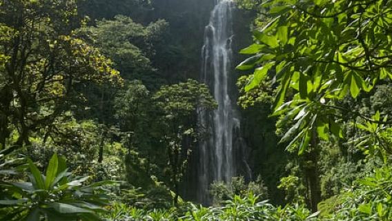 Moshi: A Day Tour To Materuni Waterfall