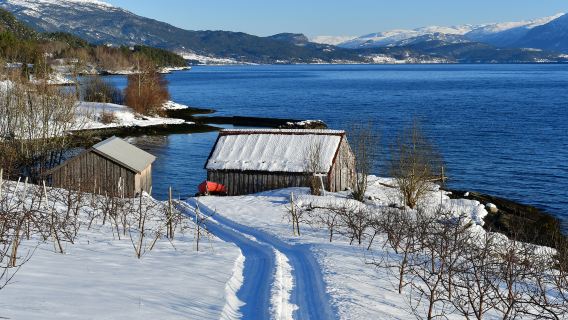 Sapporo pergi-balik - Muzik Box Museum - Terusan Otaru - Kilang Cinta Putih sewaan peribadi, jadual boleh disesuaikan