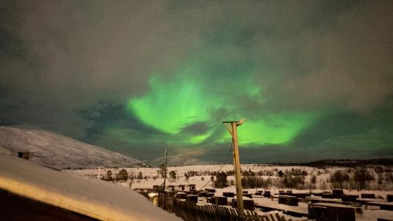 Reindeer camp dinner and Sami culture + northern lights tour in Tromso, Norway | English-speaking join-in tour + transfer included &