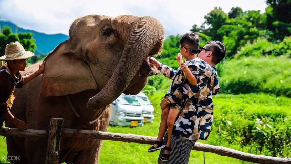 訕賽日遊