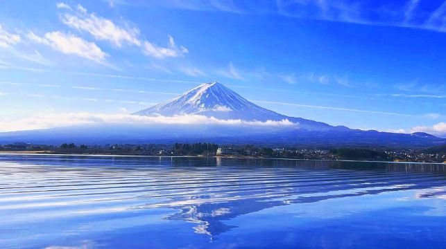 [櫻花季賞櫻]日本東京富士山一日遊【可選9人精品團/酒店上門接送|中文服務|新倉山淺間公園/河口湖大石公園/日川時計店/忍野八海】