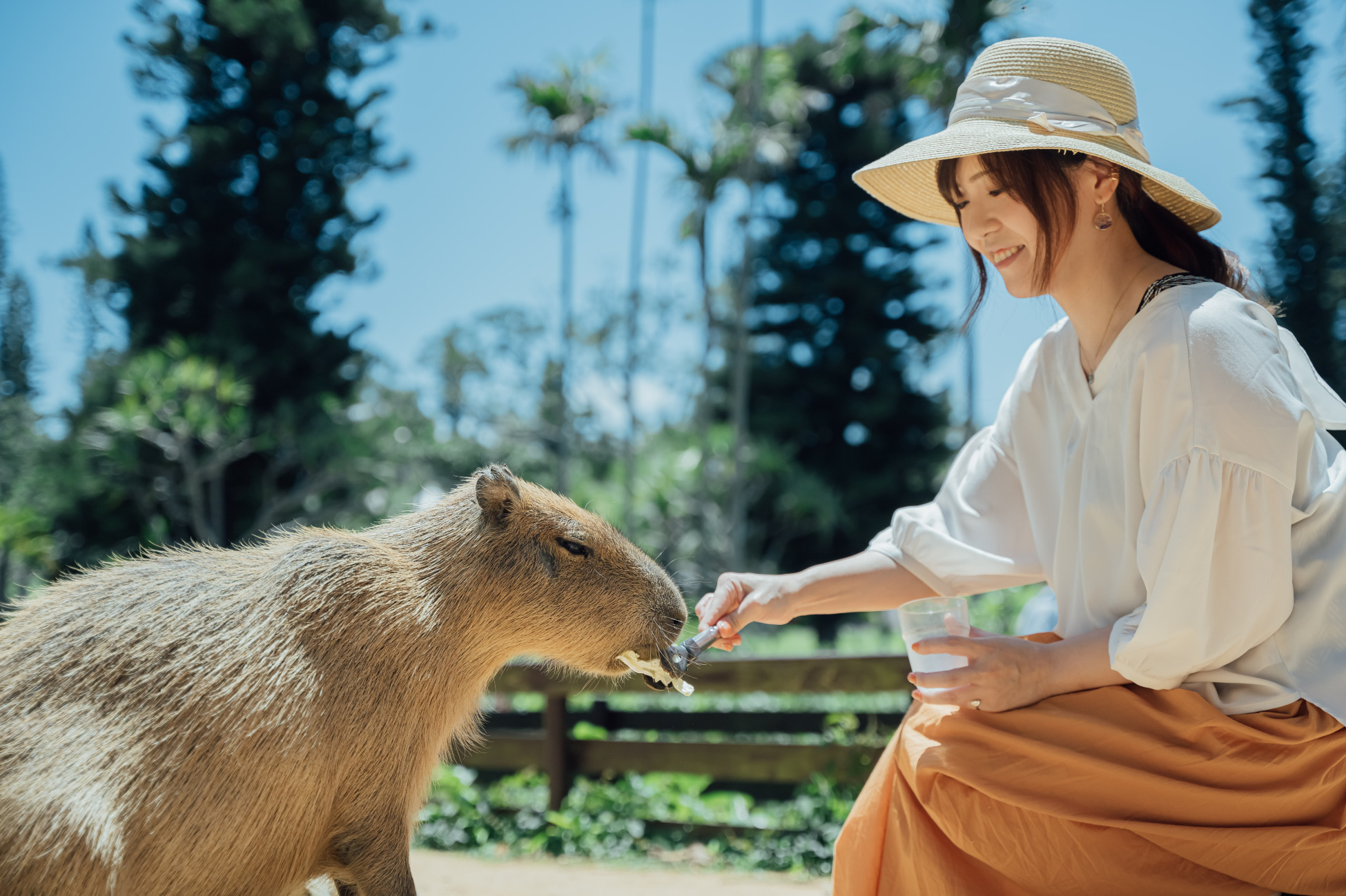 沖繩中部一日遊｜殘波岬 ＆ 永旺商城來客夢（那霸出發）