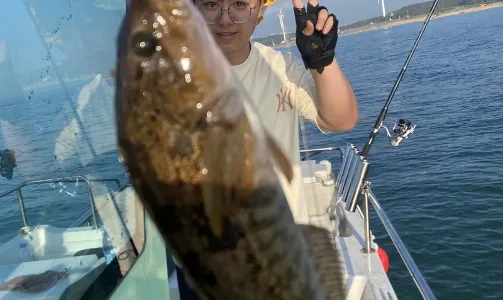 山東威海榮成那香海出海海釣觀光+餵海鷗【出海海釣3小時散拼/包船可選+含魚竿魚餌+收穫免費帶走+團建優選】