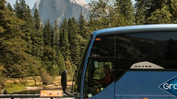 Dari San Francisco: Tiket Masuk Yosemite + Transportasi