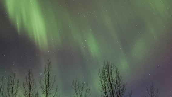 Akureyri: Tour de la aurora boreal en grupos pequeños