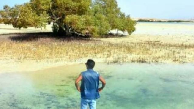 Taman Nasional Wadi El Gemal