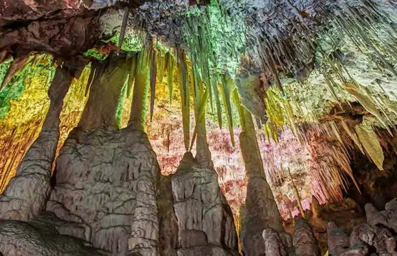 恐龍樂園及Caves dels Hams：聯票小童