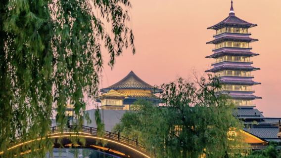 Yangzhou Slender West Lake + Daming Temple + Dongguan Street + Grand Canal lawatan sehari Nanjing pergi-balik pemandu pelancong sewaan peribadi G