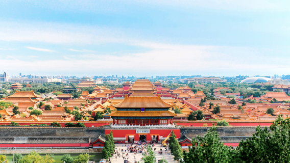 eendaagse tour door het Paleismuseum in Peking [toegangsticket inbegrepen | Kleine groep van 10 personen | Deskundige uitleg]