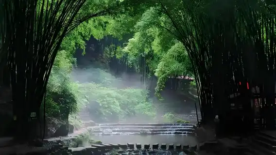 Depart from Chengdu: one-day tour of Sichuan Bamboo Sea + Pingle Ancient Town (Healing Bamboo Sea Train)