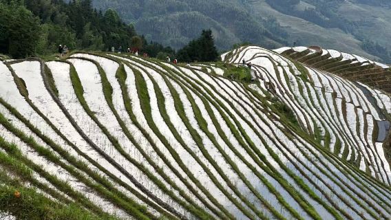 Guilin: Day tour of Longji Rice Terraces and Yangshuo Ruyi peak cable car