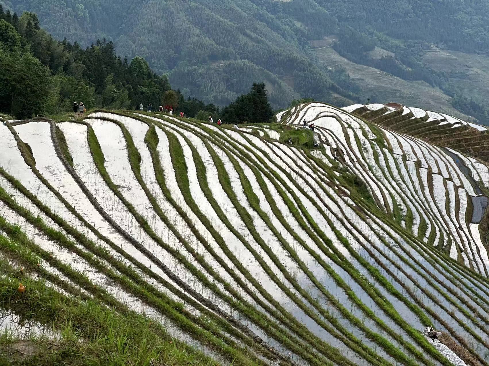 Guilin: Day tour of Longji Rice Terraces and Yangshuo Ruyi peak cable car