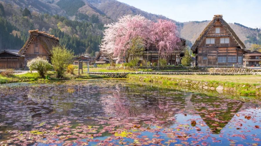 阿蘇山＆黑川溫泉一日遊