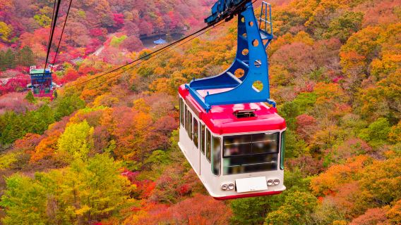 Autumn maple viewing tour|Naejangsan National Park|Depart from Seoul/Pusan