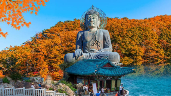 Mt. Seoraksan National Park and Naksansa Temple One-day Tour