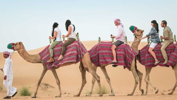 ซาฟารีทะเลทรายดูไบแพลตตินัมเฮอริเทจพร้อมอาหารค่ำบาร์บีคิว