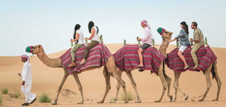 Dubai Platinum Heritage Desert Safari with BBQ Dinner