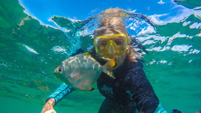 ブリスベン タンガルーマ・リゾート＆サンセットカクテル ワンデーツアー