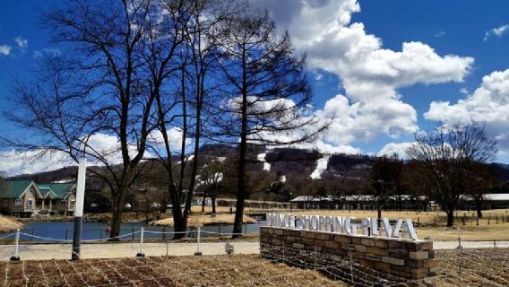 高山村日遊