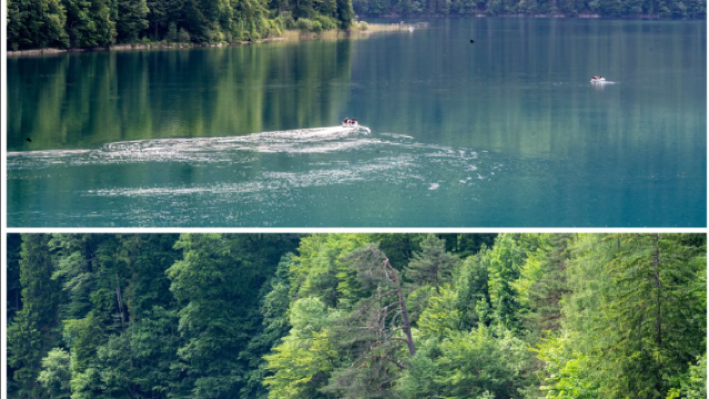 慕尼黑-童話新天鵝堡-沉浸王室浪漫與阿爾卑斯湖光山色