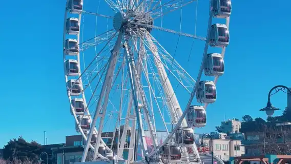 美國舊金山+漁人碼頭+金門大橋【行程可定制+中文服務】