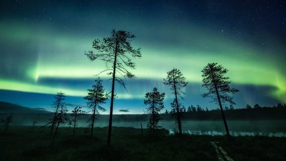 Rovaniemi: Autumn Northern Lights Hunt on Wheels