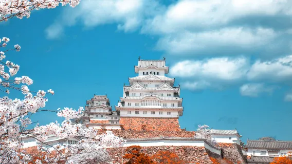 [3 Cảnh Đêm Đẹp Nhất Nhật Bản - Ngủ Nướng Thoải Mái] Tour 1 Ngày Kobe Núi Maya Kikuseidai & Thành Himeji