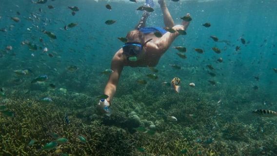 Lombok: Gili Nanggu, Tangkong, Sudak, and Kedis Islands Tour