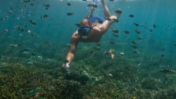 龍目島：吉利南古島、唐孔島、蘇達克島和凱迪斯群島之旅