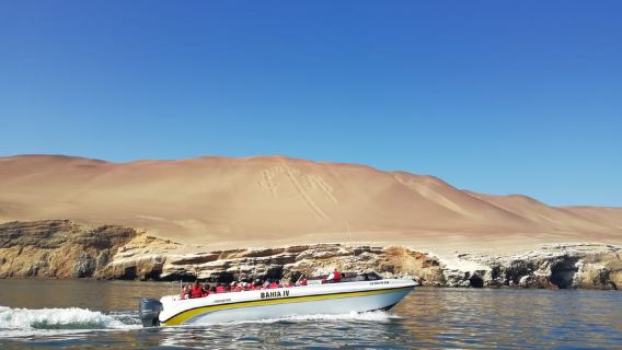 Lima: Ballestas Islands, Winery and Nazca Lines Private Tour
