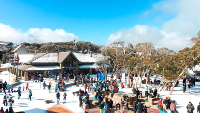 From Melbourne: Mount Buller Guided Day Tour