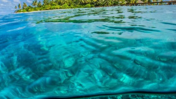 Pulau BoracayPengalaman Unik