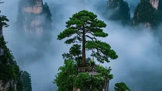 장가계 국가삼림공원: 2일 프라이빗 투어, 가이드, 백룡 엘리베이터 + 천자산 케이블카